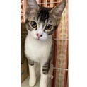 甘えっ子、わっくん