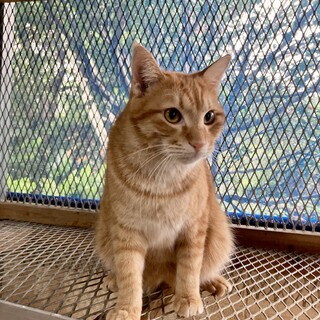 大きな体の甘えん坊ボーイ❣️