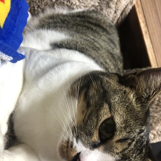 幸せにしてあげて下さい。