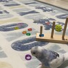 セキセイインコ譲ります★ サムネイル2