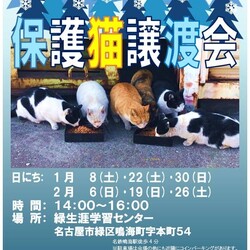 名古屋市緑区猫の譲渡会
