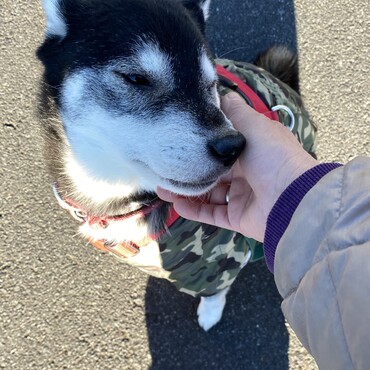 の写真