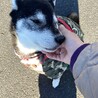 の写真