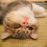 ティティちゃん10ヶ月男の子