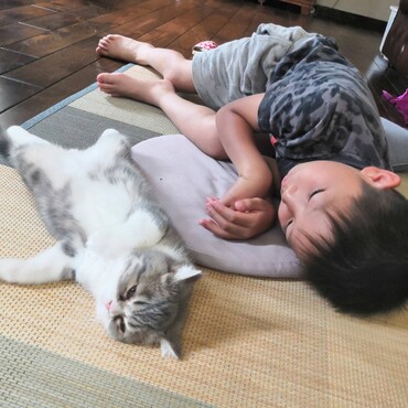 の写真