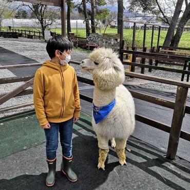 アルパカ牧場