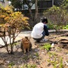 の写真