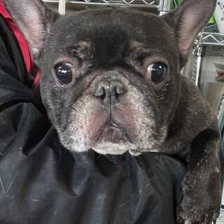 22-W39　大人しいお利口さまです♪