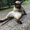 えみ、