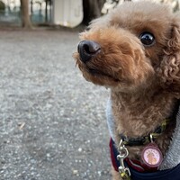 ジェシー