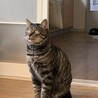 ヒーロ0926さん