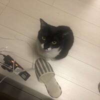 みりん