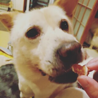 おっとり、おとぼけ顔が可愛い♡マッシュくん