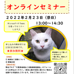 地域ねこ活動オンラインセミナー