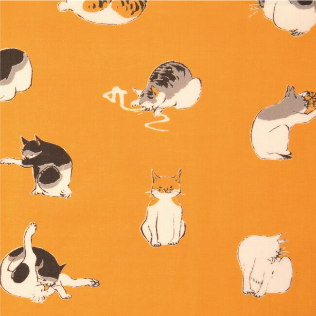 ちゅうべえのカバー写真