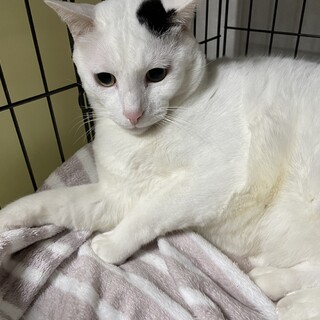 どうしても離れたくない親子