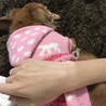 ななし,,