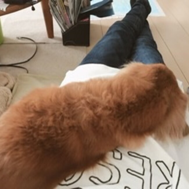 ななし,,のカバー写真