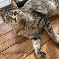 人が大好き！甘えん坊のけんちゃん