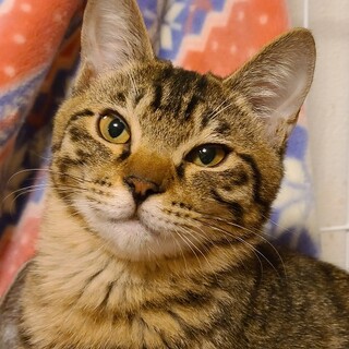 可愛い可愛い「ふぁんたくん」