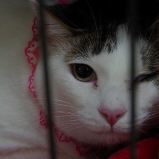 片目は見えなくても元気です！