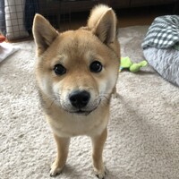 まる