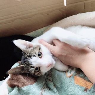 1/30千葉ෆ⃛仲良し兄弟ですෆ⃛ジョジョくん