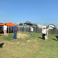 総社市ＡＷＡしつけ教室　＜雨天中止＞ サムネイル1