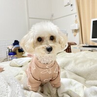 エマ