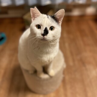 こんなに可愛い子は他にいない！