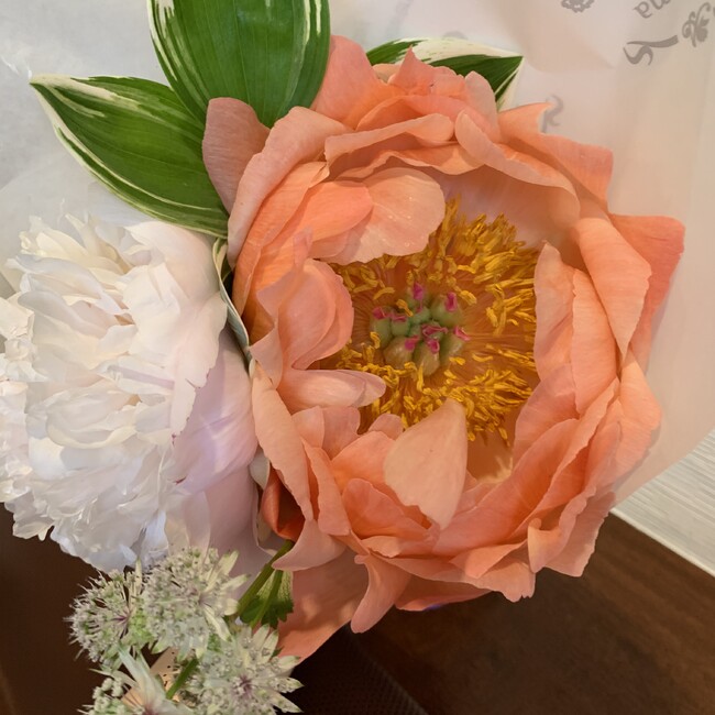 saori26のカバー写真