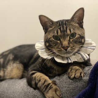 甘えん坊イケメンビッグボーイ☆サンくん♂