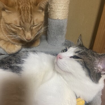 仲良し