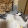 仲良し