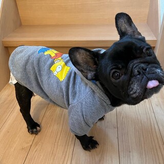 とってもキュートなクロエちゃん ４～６歳