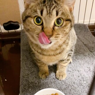 1/30千葉ෆ⃛食いしん坊男子ですෆ⃛みおくん