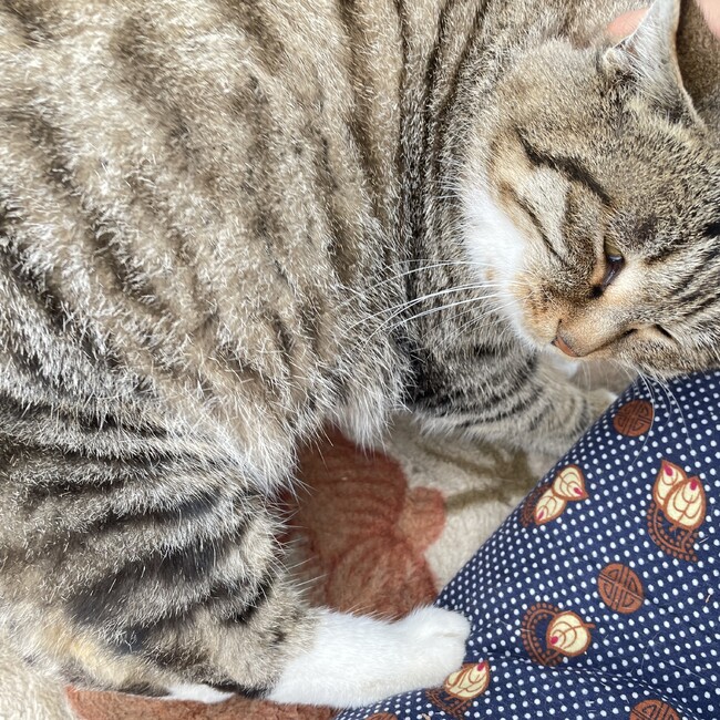 ソン123のカバー写真