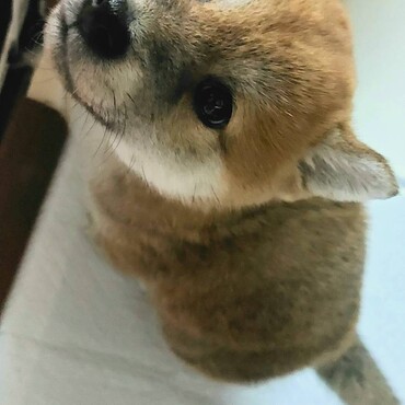これからよろしくね。