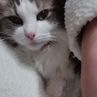 いつだって腕の中なの