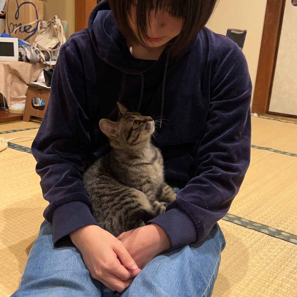 ひなのカバー写真