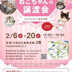 ねこざんまい譲渡会@東日本橋