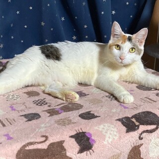 甘えん坊なエバちゃんです。