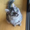 るぱん