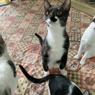 遊ぶの大好き‼️癒し系男子