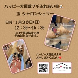 ハッピー犬屋敷プチふれあい会
