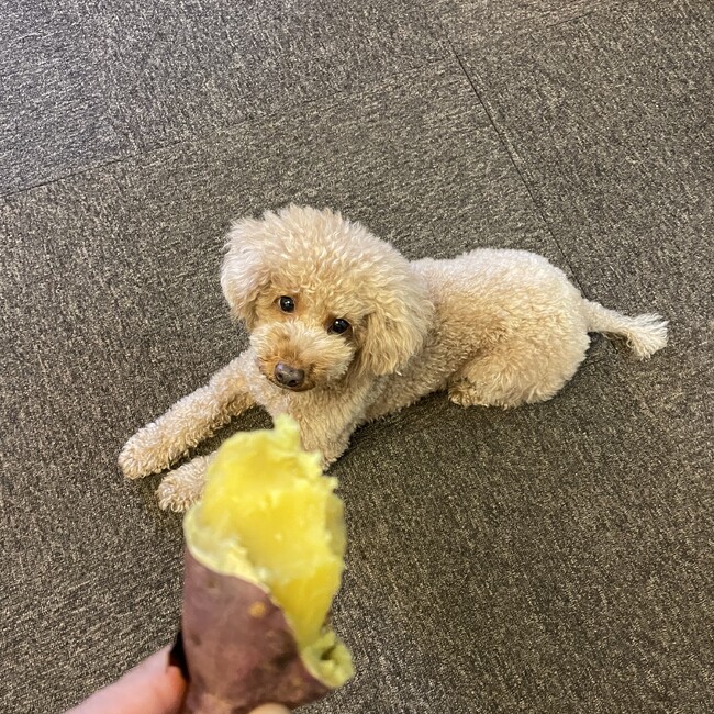 バンビ噛癖BBQのカバー写真