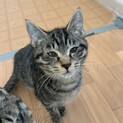 4兄妹の長男 ラニくん