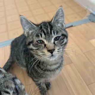 4兄妹の長男 ラニくん