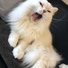 ひろ105