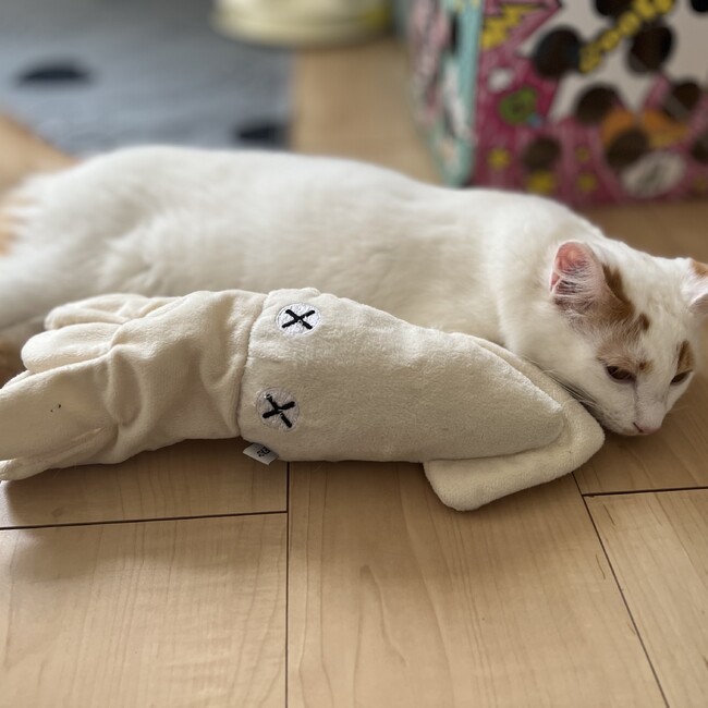 いしむーのカバー写真